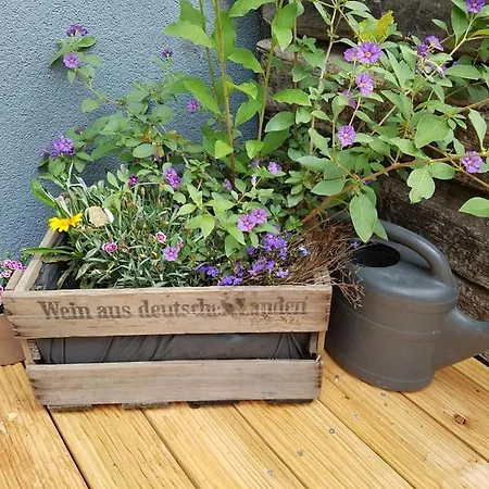 Ferienwohnung Hanhofen *