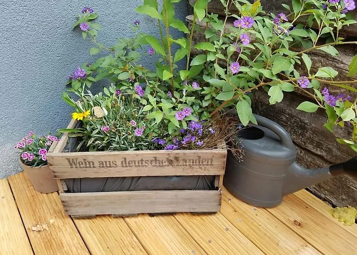 Ferienwohnung Hanhofen *